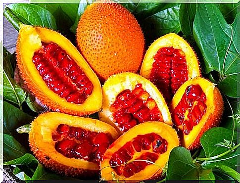 10 exotic fruits capable of boosting your health