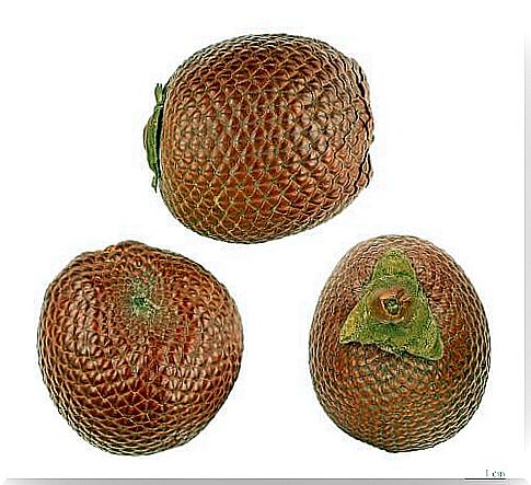 exotic fruits