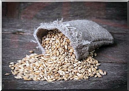 Barley and the health benefits