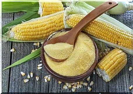 Corn is a source of energy