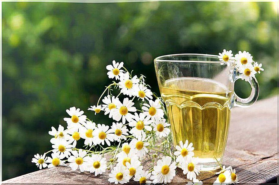 Chamomile flower tea