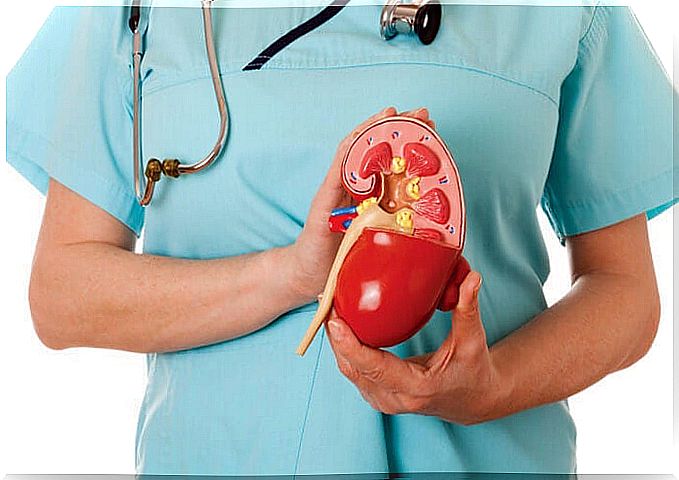 kidney health