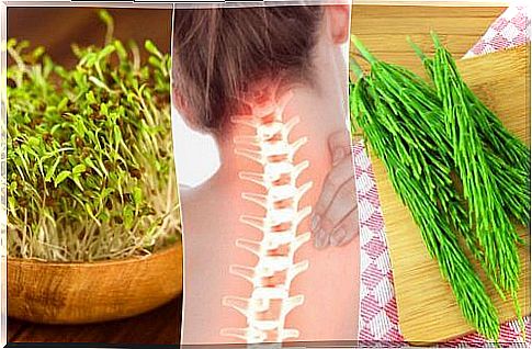 7 medicinal plants to care for bone health