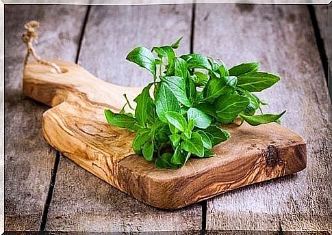 Basil to take care of bone health