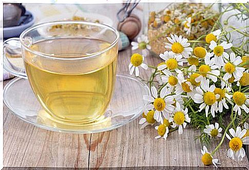 Chamomile tea to take care of bone health