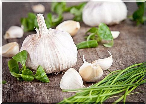 garlic