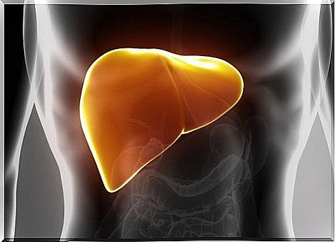 Advice and Natural Remedies for Maintaining a Healthy Liver