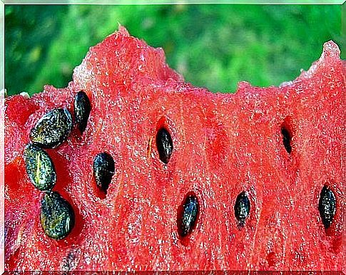 Benefits of adding watermelon seeds to the diet