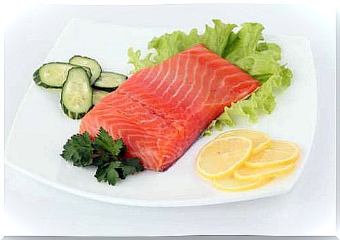 salmon