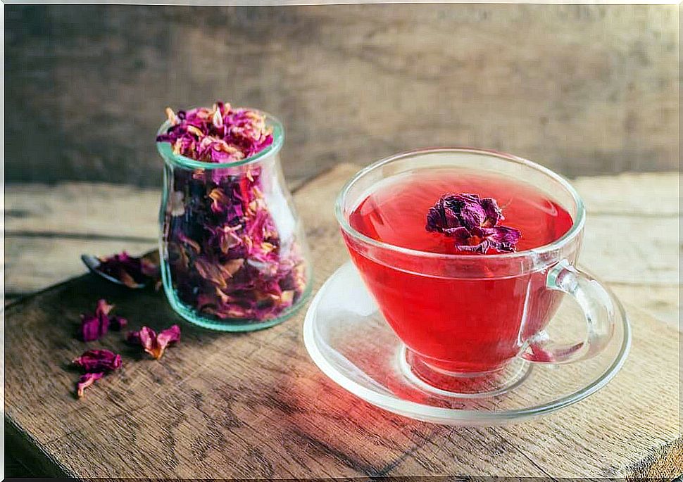 Rose infusion to relieve migraine