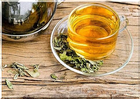 The consumption of green tea and black tea reduces the risk of stroke