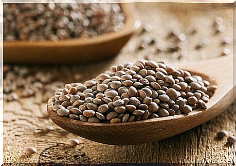 Beans are rich in proteins that improve the health of hair, skin and nails