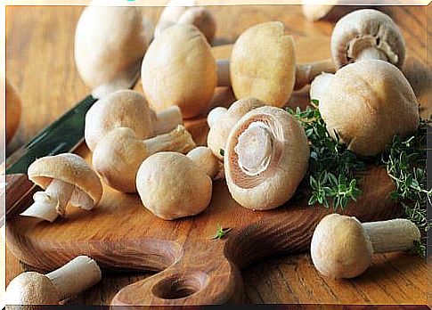 Mushroom Recipes