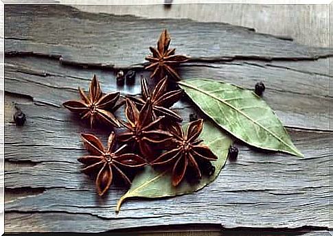 Anise helps relieve digestive problems