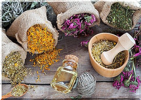 Herbs that help hyaluronic acid take effect