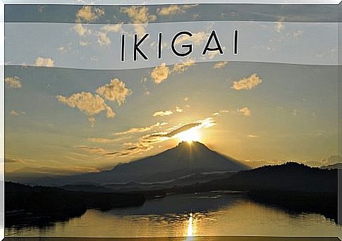 Ikigai, the Japanese secret to living better