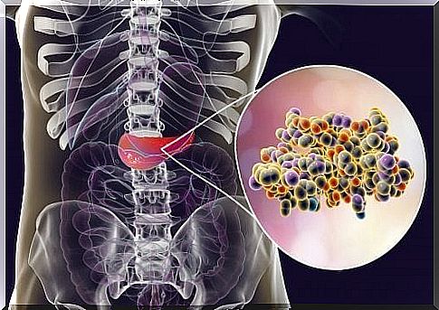 Effects of Insulin on the Pancreas