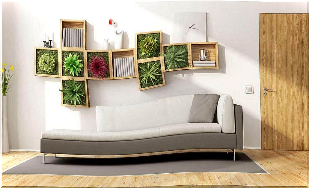 Elegant decoration with plants