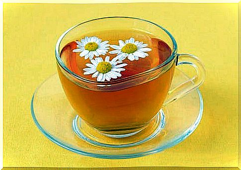 chamomile