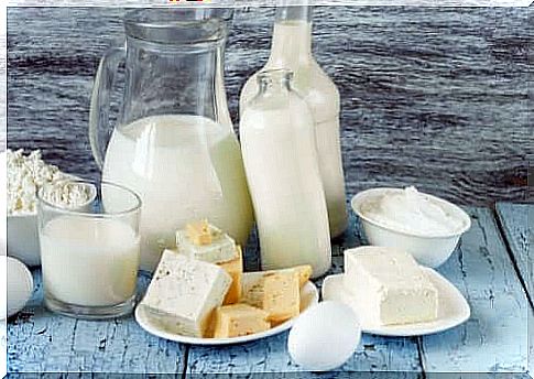 dairy products