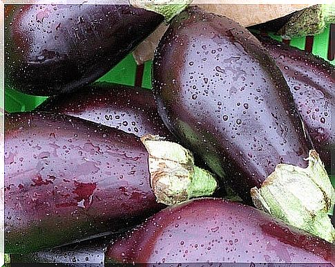 Eggplants