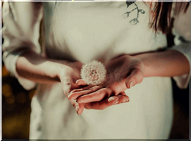 woman holding dandelion