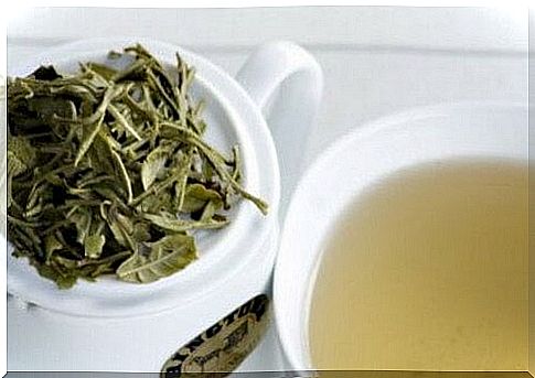 White tea diet to lose weight